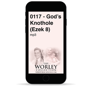 0117 - God's Knothole (Ezek 8)